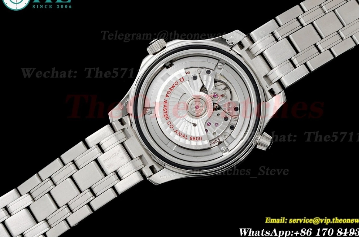 8800 Asia 300m SS 2018 Seamaster ORF Black SS 0113